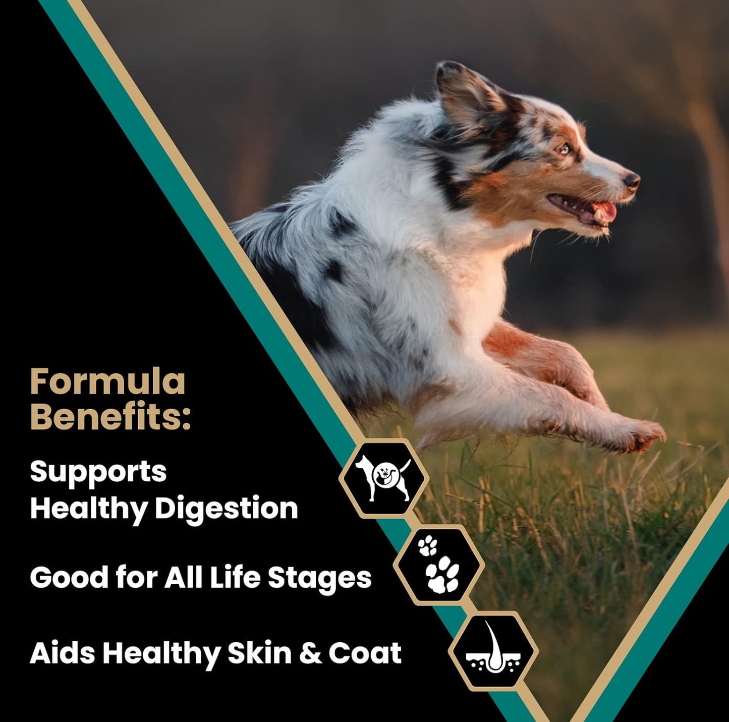 Super Premium Dog Food – Select - Ocean Fish Formula –Gluten Free Dry Dog Food for Normally Active Dogs and All Life Stages