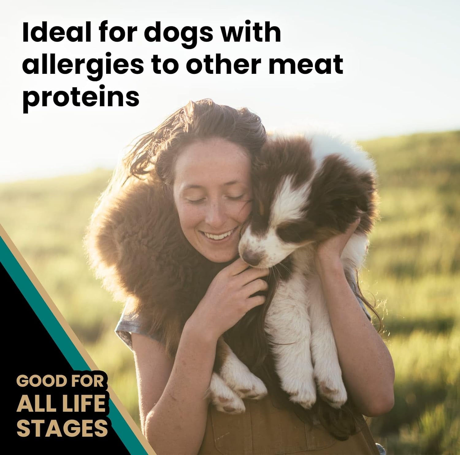 Super Premium Dog Food – Select - Ocean Fish Formula –Gluten Free Dry Dog Food for Normally Active Dogs and All Life Stages