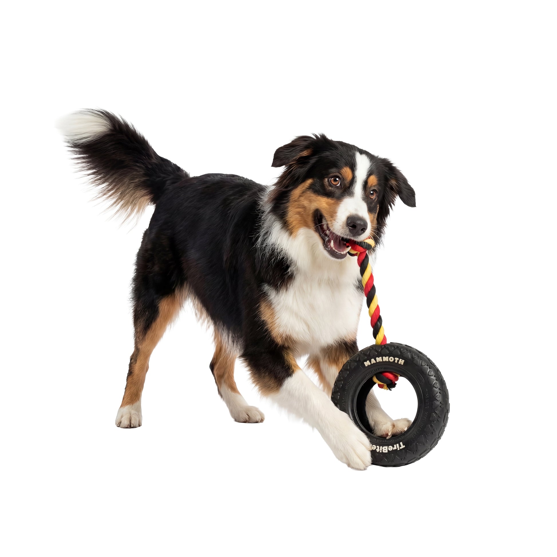 Tirebiter Original Rubber Dog Toy with Cottonblend Assorted Color Rope, Small 6"